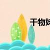 干物妹（關于干物妹的簡介）