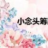 小念頭籌款（關于小念頭籌款簡介）