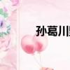 孫葛川野（關于孫葛川野介紹）