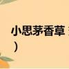 小思茅香草 變種（關于小思茅香草 變種簡介）