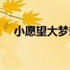 小愿望大夢想（關于小愿望大夢想簡介）