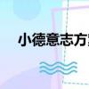 小德意志方案（關于小德意志方案簡介）