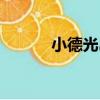 小德光島（關于小德光島簡介）