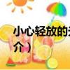 小心輕放的光陰2（關于小心輕放的光陰2簡介）
