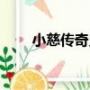 小慈傳奇史（關于小慈傳奇史簡介）