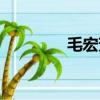 毛宏芳保利集團（毛宏芳）