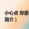 小心點 你是我的了（關于小心點 你是我的了簡介）