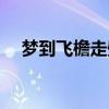 夢到飛檐走壁周公解夢（夢到飛檐走壁）