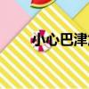 小心巴津加（關于小心巴津加簡介）