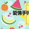 愛情手銬（關于愛情手銬的簡介）