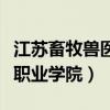 江蘇畜牧獸醫職業學院包道仁（江蘇畜牧獸醫職業學院）