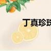 丁真珍珠（關于丁真珍珠的簡介）