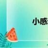 小感動（關于小感動簡介）