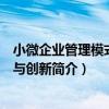 小微企業管理模式構建與創新（關于小微企業管理模式構建與創新簡介）
