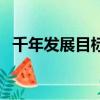 千年發展目標（關于千年發展目標的簡介）