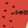 小心空隙（關于小心空隙簡介）