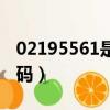 02195561是什么電話（02195511是什么號碼）