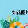 如花圖片（關于如花圖片的簡介）