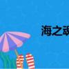 海之魂（關于海之魂的簡介）
