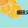 細田義彥奧特曼（細田義彥）