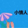 小情人兒（關于小情人兒簡介）