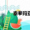 泰拳瑪亞（關于泰拳瑪亞的簡介）