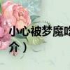 小心被夢魔吃掉哦（關于小心被夢魔吃掉哦簡介）