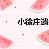 小徐莊遺址（關于小徐莊遺址簡介）