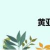 黃亞男鐘道然（鐘道然）