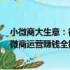 小微商大生意：微商運營賺錢全揭秘（關于小微商大生意：微商運營賺錢全揭秘簡介）