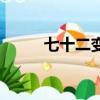 七十二變（關于七十二變的簡介）
