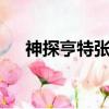 神探亨特張 （關于神探亨特張 的簡介）