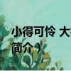 小得可憐 大得可悲（關于小得可憐 大得可悲簡介）