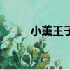 小薰王子拍的電視劇（小薰王子）
