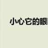 小心它的眼睛（關于小心它的眼睛簡介）