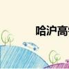 哈滬高鐵經過的站（哈滬高鐵）