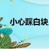 小心踩白塊兒（關于小心踩白塊兒簡介）