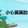 小心翼翼的愛（關于小心翼翼的愛簡介）