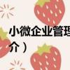 小微企業管理指南（關于小微企業管理指南簡介）