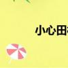 小心田村（關于小心田村簡介）