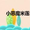 小惡魔米蓮華（關于小惡魔米蓮華簡介）