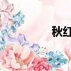 秋紅樂隊 譜（秋紅樂隊）