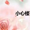 小心樓下（關于小心樓下簡介）