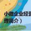 小微企業經營與管理（關于小微企業經營與管理簡介）