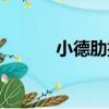 小德肋撒（關于小德肋撒簡介）