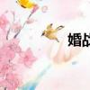 婚戰（關于婚戰的簡介）