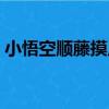 小悟空順藤摸瓜（關于小悟空順藤摸瓜簡介）