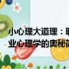小心理大道理：職業心理學的奧秘（關于小心理大道理：職業心理學的奧秘簡介）