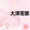大漠蒼狼1（關于大漠蒼狼1的簡介）