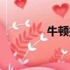 牛頓擺球的玩法（牛頓擺）